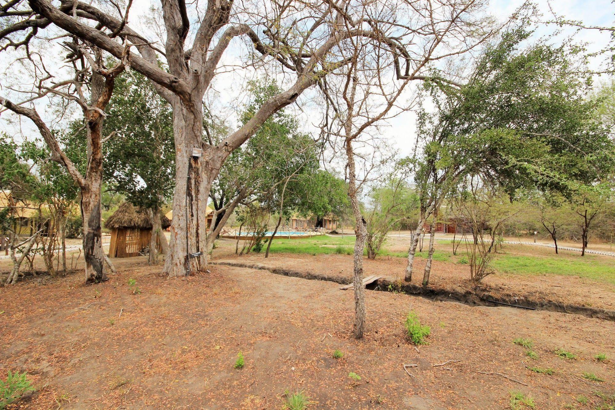 Africa Safari Camp Hotel Mloka Exterior foto